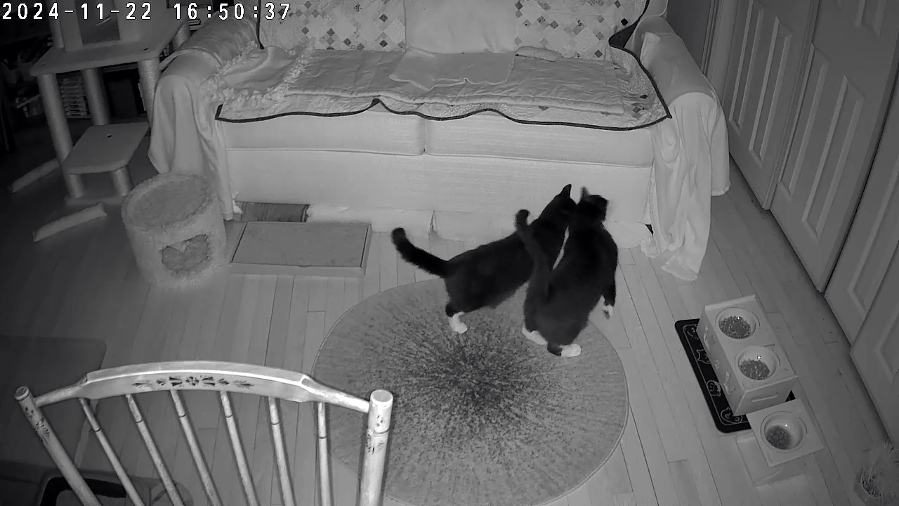 Security Cameras – A Small Price to Pay for Peace of Mind